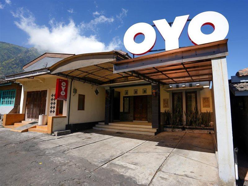 Oyo 1087 Homestay Potato House Бромо Экстерьер фото
